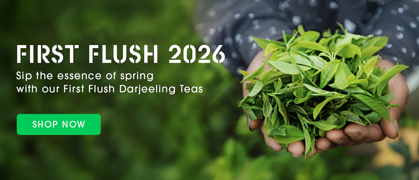 India's Finest Teas, Delivered Fresh